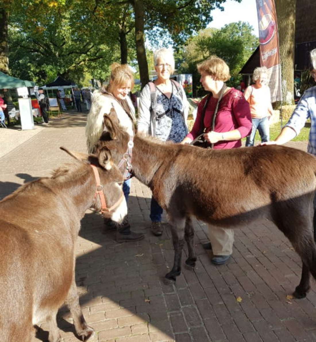 Wandelen met de ezels van Margot